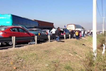 Carambola-2-grande-450x300