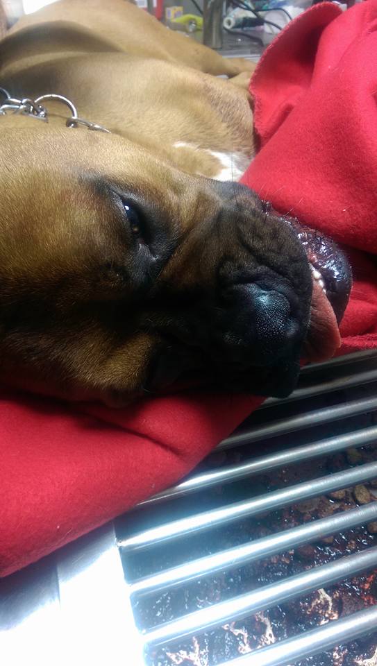 10270577_10153828957558630_427464517541446487_n