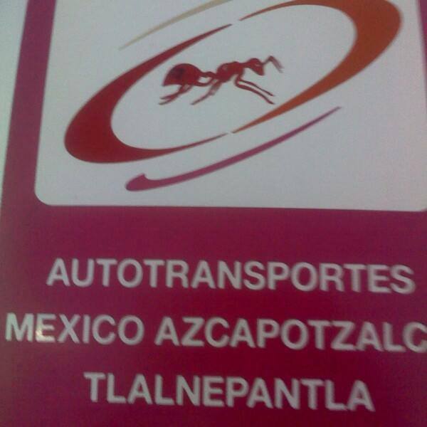 11258280_428305697339122_4588611059381529381_n