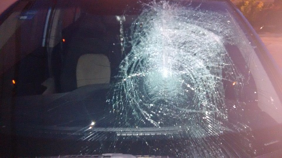 12511832_10153408642208553_217928239_n