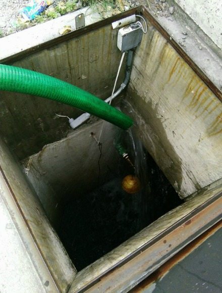 12625786_1047249618671889_503647914_n