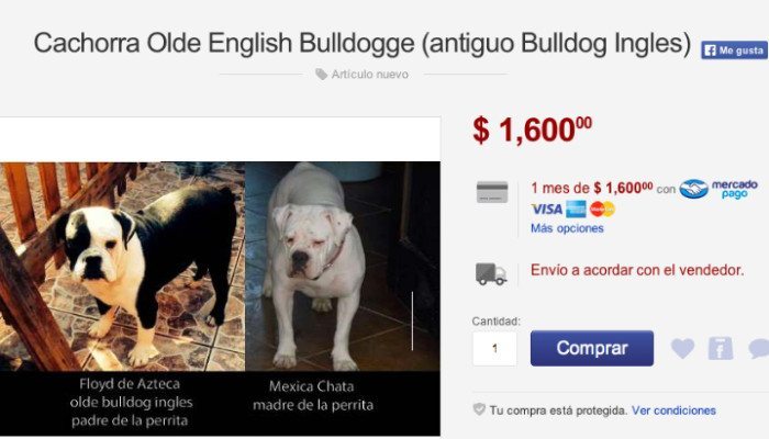 145406_Imagen3-700x400