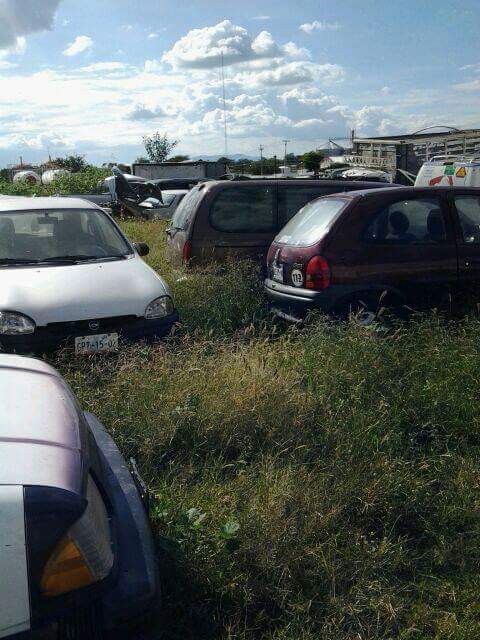 945899_1006926396037595_18645504844246911_n