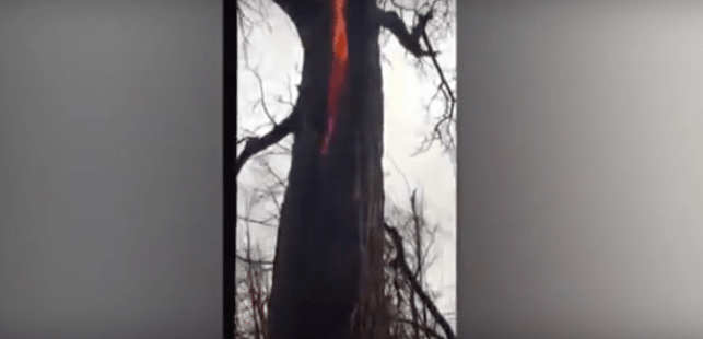 Captura de pantalla 2016-01-03 a las 19.27.14