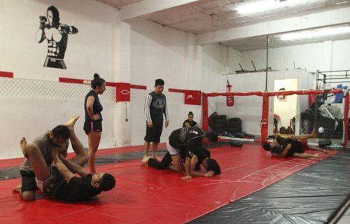 60102125. México, 2 Ene 2016 (Notimex-Carlos Pereda).- Practicar media hora de ejercicio por lo menos cuatro veces a la semana disminuye el estrés y mantiene saludables el corazón, los pulmones, los vasos sanguíneos y los músculos, destacó el Instituto Mexicano del Seguro Social (IMSS). NOTIMEX/FOTO/CARLOS PEREDA/CPM/HTH