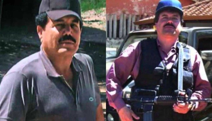 PicMonkey-Collage7-700x400