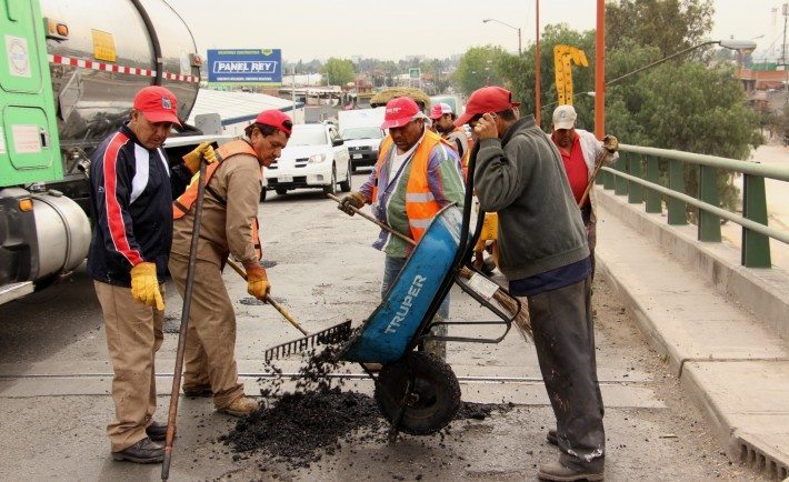 boletín-016-710x434