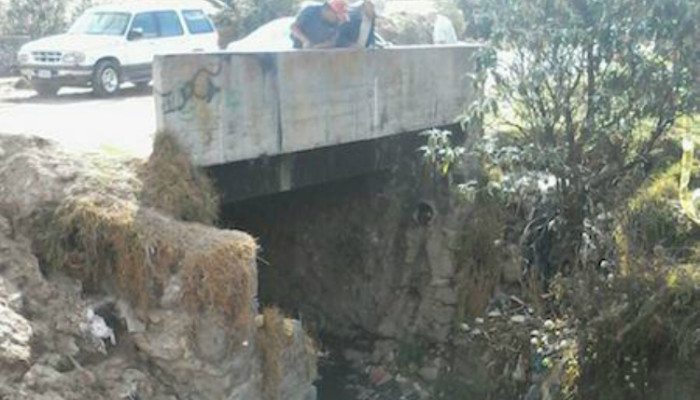 cuerpo-canal-travesti-700x400