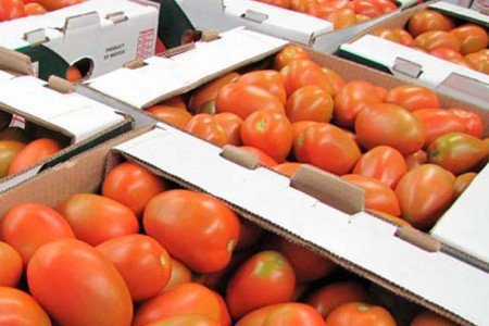 jitomates-caja-450x300