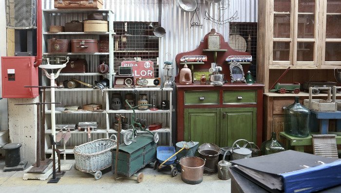 pulgas_mayep_16-700x397