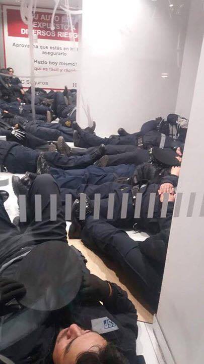 12746131_10207501819680332_1315893238_n