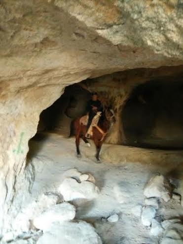 92b082c5-6ee0-40f0-986f-d7e896099403