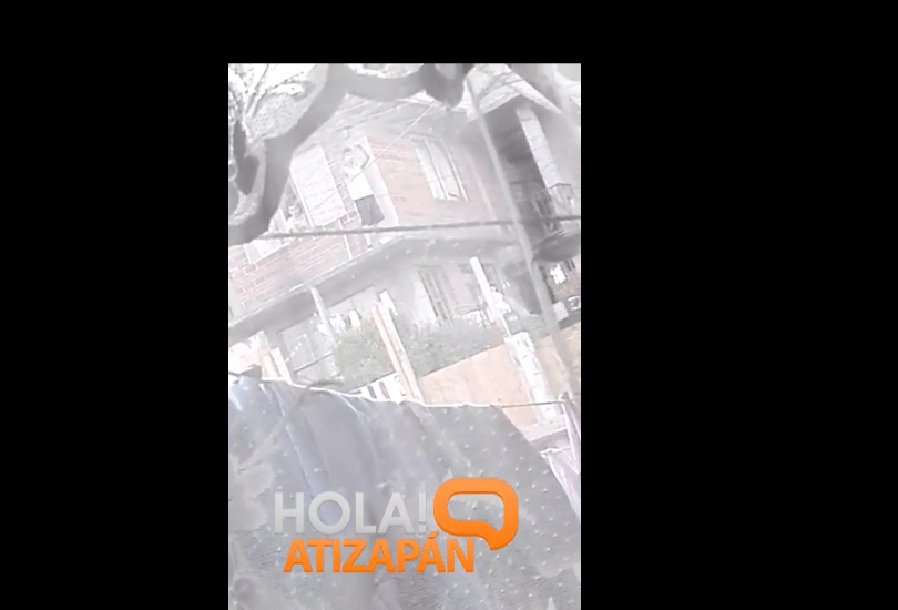 Captura de pantalla 2016-02-02 a las 12.02.42