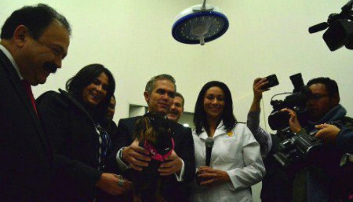 IMG_0417-450x300-700x400