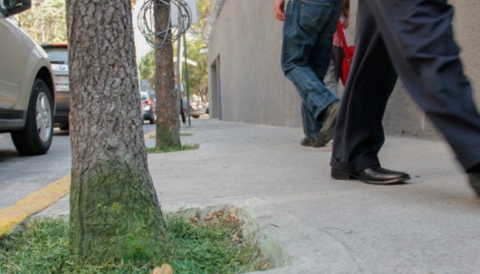 PAG-12-1_DANIEL-PERALES_pasto-pintado-700x400