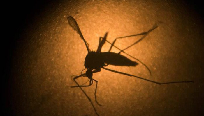 Zika-Heat-700x4002-700x400