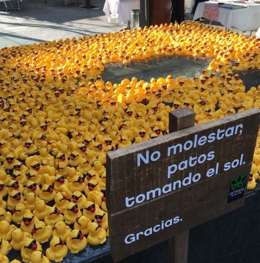 captura-de-pantalla-2016-02-22-a-las-10-24-44-a-m