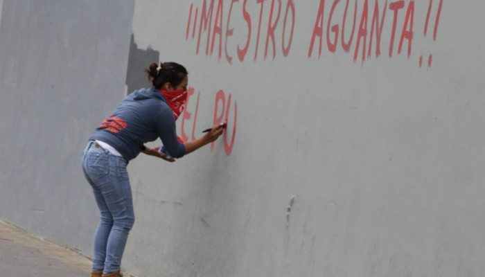 maestros_oax_animal-700x400