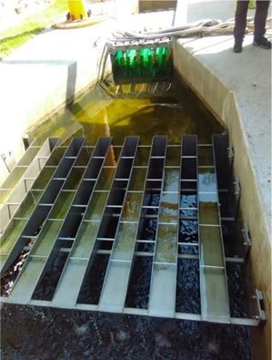 10599169_1117400348323399_41081754862623240_n