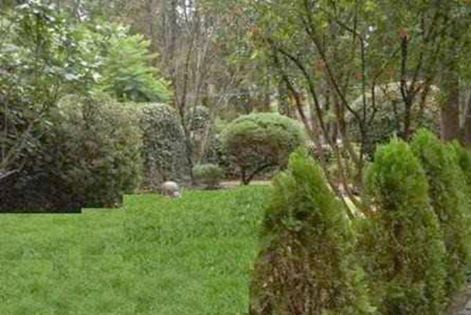 12821575_1111403142256453_4574211952142223677_n