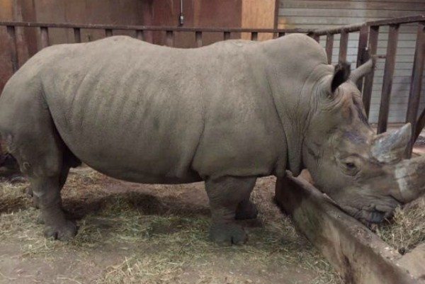 34ebafdf-96e9-4ca0-a5a3-05cd78ff00d1-600x401