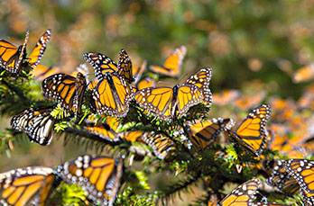 71a7e0ec-8e60-4c3f-8869-f0e243a52d3b-2