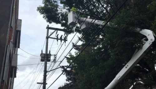 CFE-servicio-de-luz-2