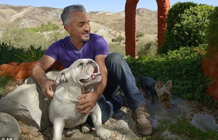 Cesar-Milan-Dog-Whisperer-AP-640x480