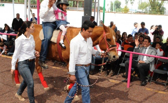 EQUINOTERAPIA1-710x434