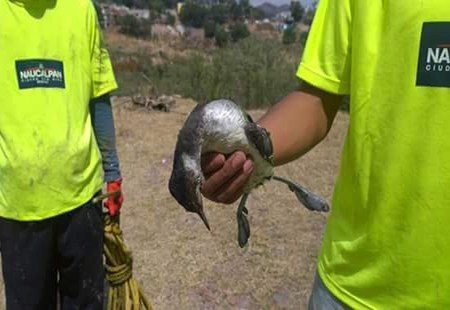 FB_IMG_1459122710965