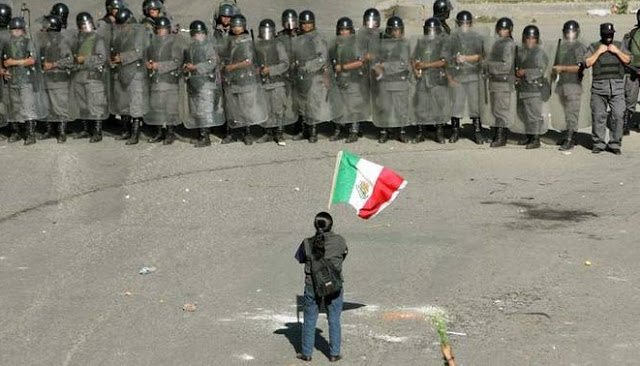 Granaderos-manifestante-bandera