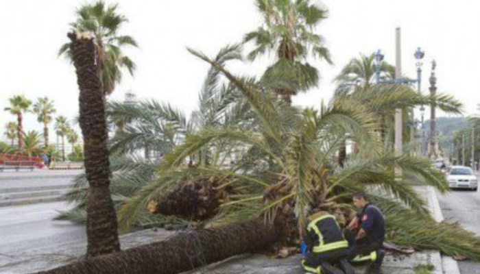 Huajuapan_quadratin-2