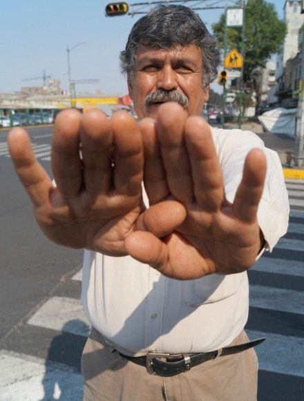 OSO-MUESTRA-MANOS-OK