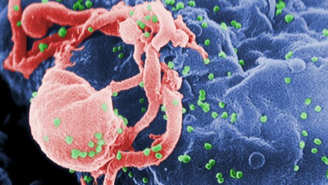 VIH_PLYIMA20160322_0022_1