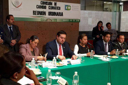 f0f5b87cb122e223cd7660146ffe698a-450x300