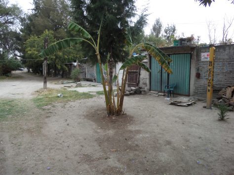 SAMSUNG CAMERA PICTURES