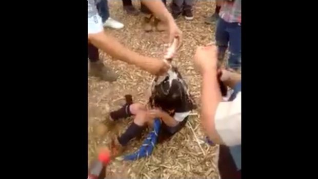 1716_nina-scout_620x350