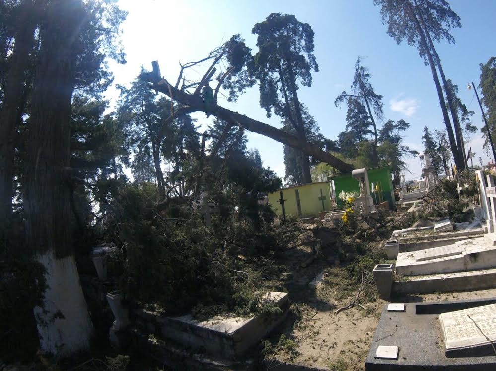 5390da91_a633_470a_b8d9_99e608af0b7e