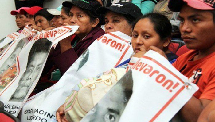 ayotzis_animal