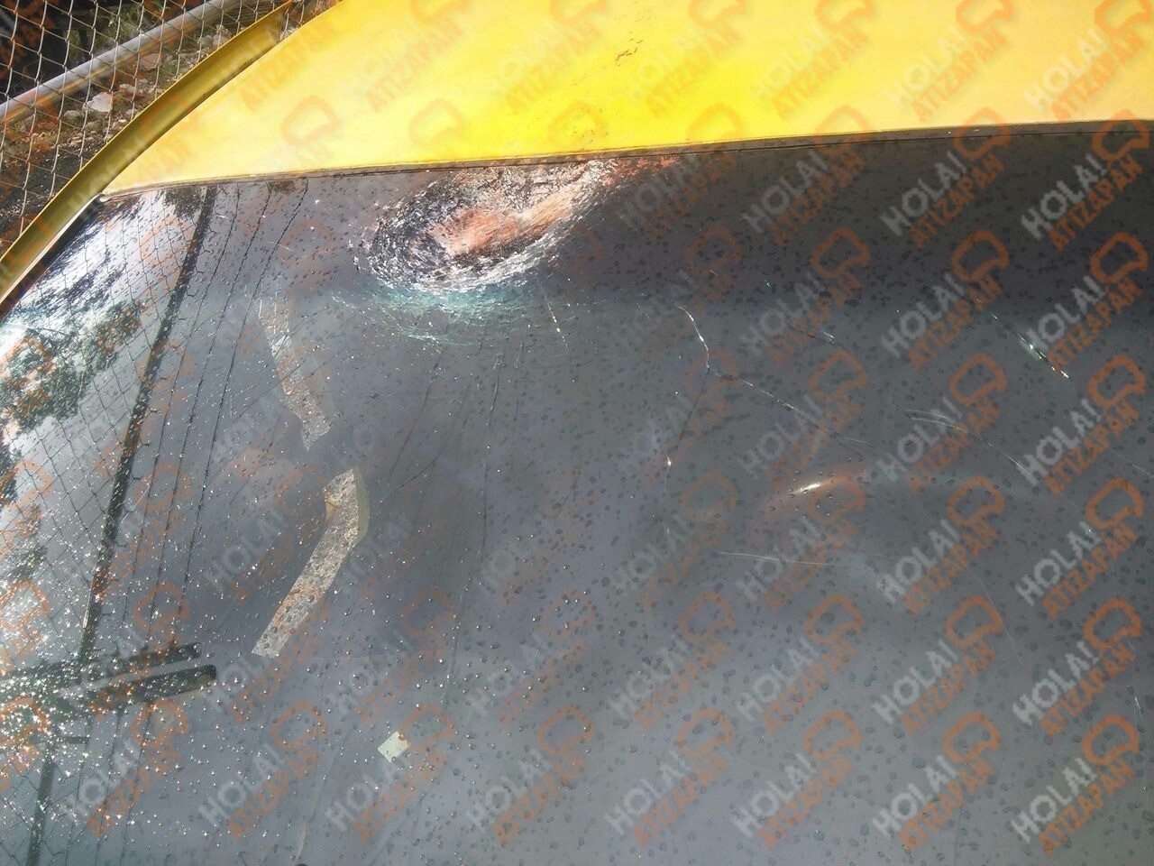 cba24661-e9e7-4a4b-8e6a-db18ca37b580