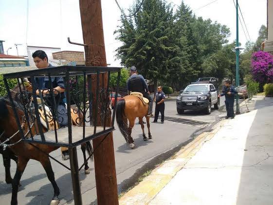 13151760_1715637582048274_2471169794259841402_n