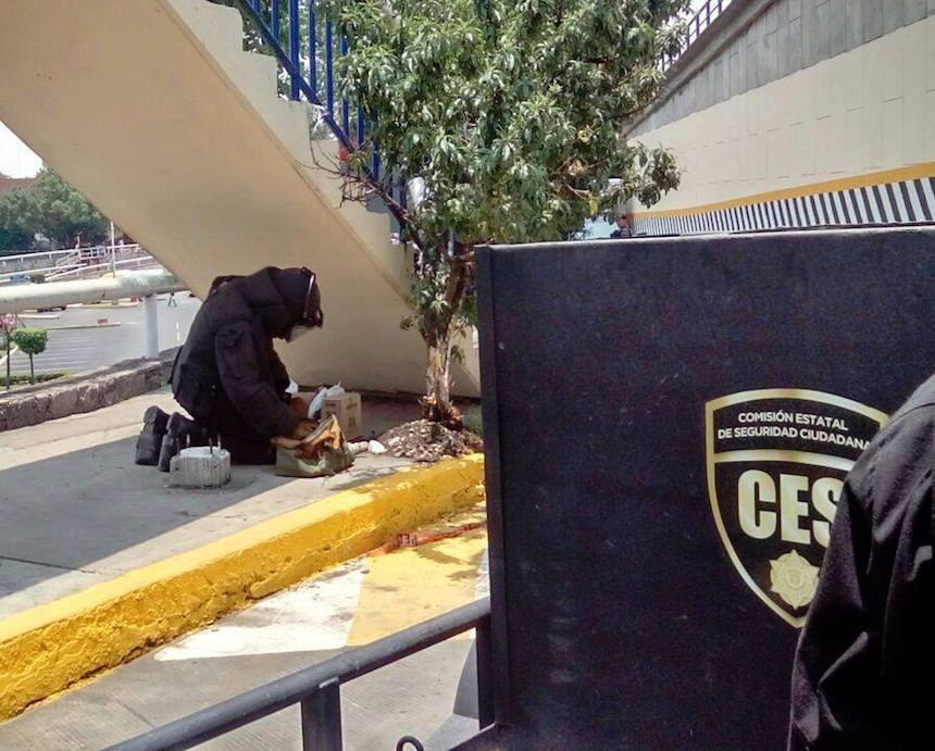 13310504_1164152300314870_763246248046103243_n