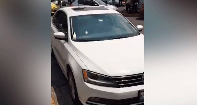 13312709_1166139350116165_2370752891225783629_n