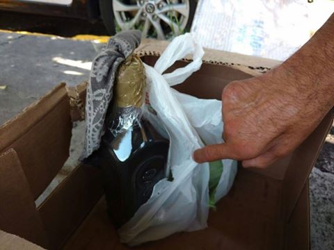 13331166_1164152260314874_8853272063000661069_n