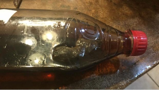 2029_rata-en-refresco_620x350