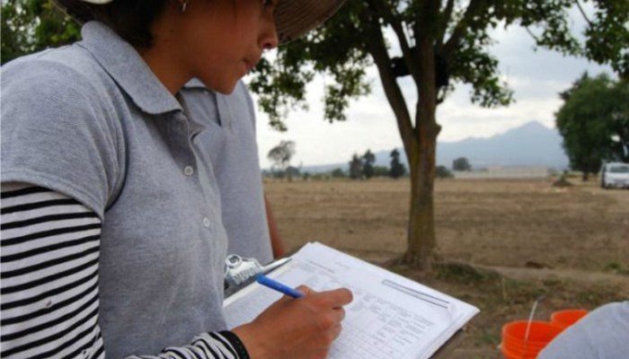 38db54592fcff637ad1bd47139914453