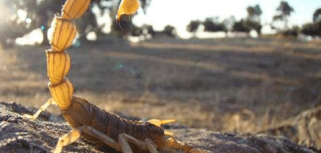 Captura de pantalla 2016-05-07 a las 0.32.47