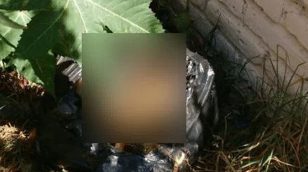 Captura de pantalla 2016-05-08 a las 12.49.40