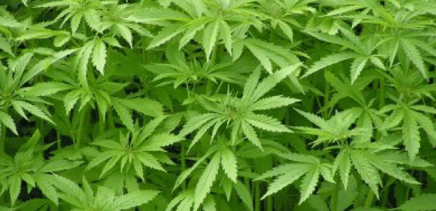 Captura de pantalla 2016-05-13 a las 0.45.49