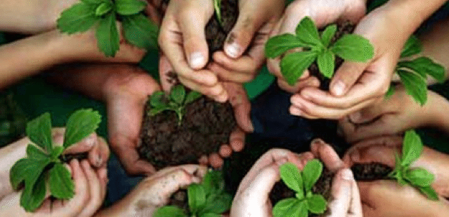 Captura de pantalla 2016-05-22 a las 23.20.29